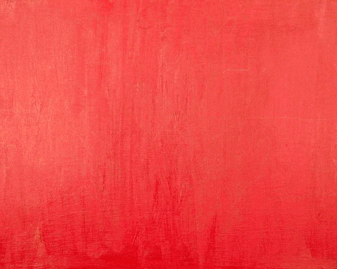 poppies red study